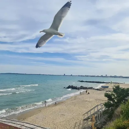 Beige-a-view, Sea Dreams Sweti Wlas